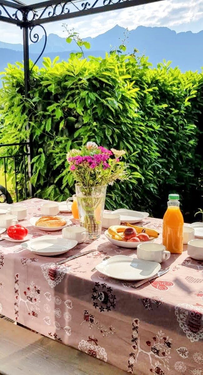 Terrasse orientée Est vue montagnes